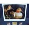 Image 10 : Utah Medallion Edition Duck Stamp Prints from 1986-1997 12 Pieces, (1990 is not medallion edition) (