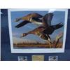 Image 12 : Utah Medallion Edition Duck Stamp Prints from 1986-1997 12 Pieces, (1990 is not medallion edition) (
