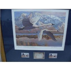 Utah Medallion Edition Duck Stamp Prints from 1986-1997 12 Pieces, (1990 is not medallion edition) (