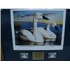 Image 5 : Utah Medallion Edition Duck Stamp Prints from 1986-1997 12 Pieces, (1990 is not medallion edition) (