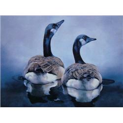 Annette Hartzell "Canadian Reflections"  216/950 Image Size: 18" x 17 1/2" (71)