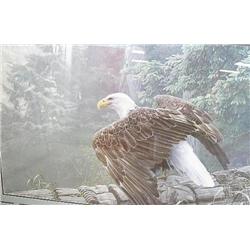 Ron Parker Print "Fallen Totem"  20 1/2" x 32" 334/650 1992 (67)