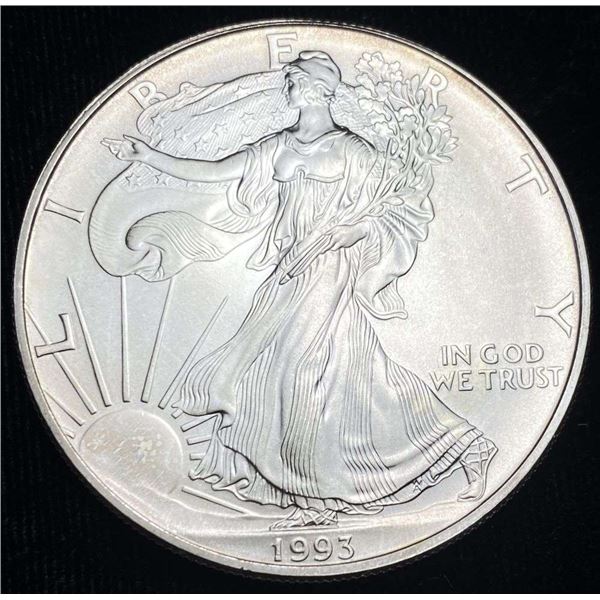 1993 American Silver Eagle