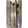 Image 2 : VOLANT SKIS, SCOTT POLES, AND NODICA SIZE 11 BOOTS