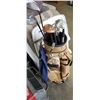 Image 4 : VINTAGE GOLF BAG W/ LEFT AND RIGHT CLUBS