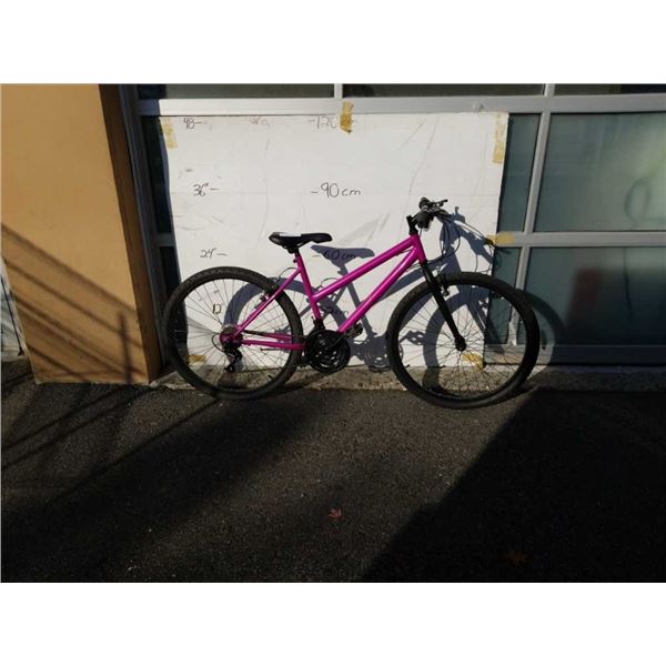 PURPLE NO NAME BIKE