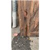 Image 3 : 39 INCH STAIN BARN DOOR - AS FOUND