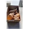 Image 1 : BOX OF VARIOUS SHELLS