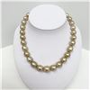 Image 2 : 12-15mm South Sea Oval Pearl Necklace with Gold Clasp