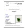 Image 3 : 3.80CT NATURAL BURMA PERIDOT 14K W/G RING