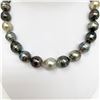 Image 3 : 12-14mm Tahitian Multicolor Circle Baroque Pearl Necklace with Gold Clasp