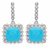 14.45ct Turquoise 14 K White Gold Earrings