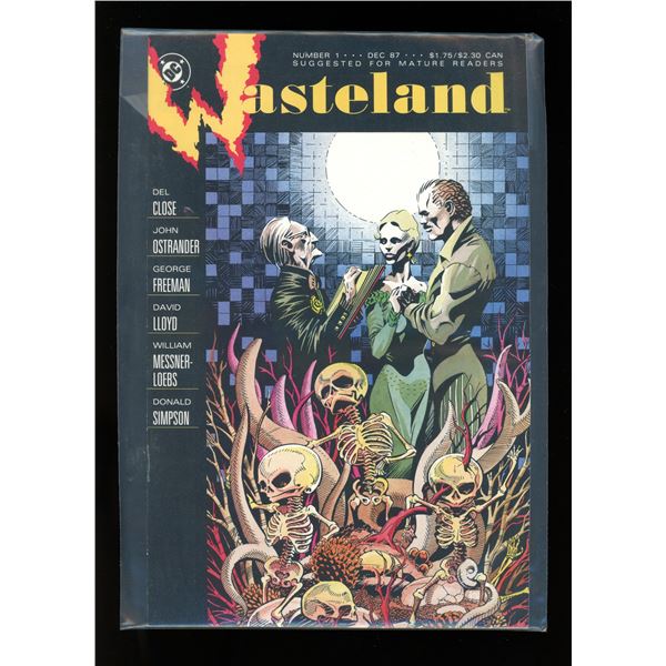 DC Wasteland #1