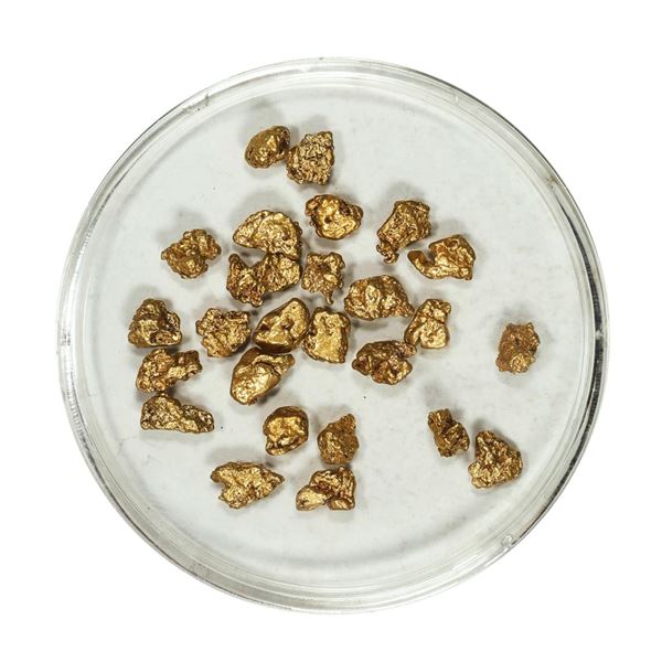 Gold Nuggets 4.51 Grams Total Weight