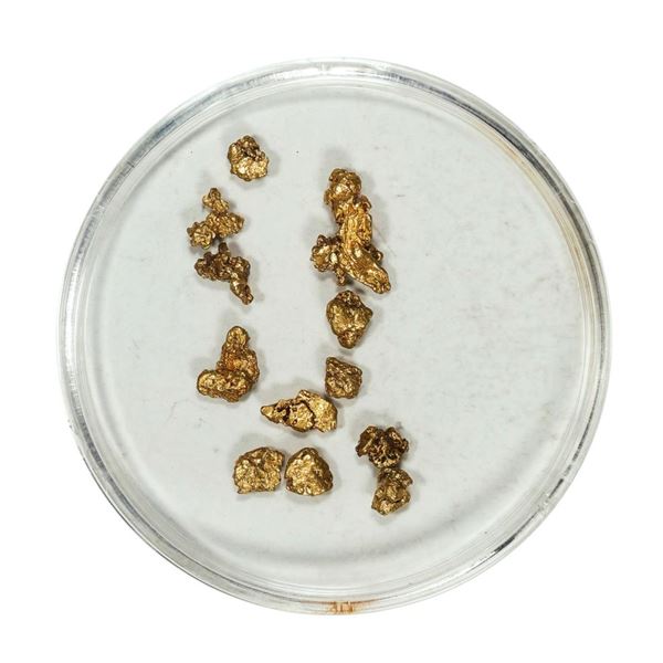Gold Nuggets 1.74 Grams Total Weight
