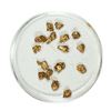 Image 1 : Gold Nuggets 2.62 Grams Total Weight