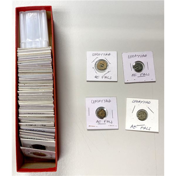 UMAYYAD: LOT of 50 copper fulus