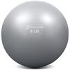 NEW 6LBS PROSOURCEFIT EXERCISE BALL - WEIGHT