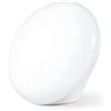 Image 1 : NEW LASTAR LIGHT THERAPY LAMP 10,000 LUX UV FREE