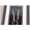 Image 2 : Framed Glass Wheat Decoration