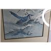 Image 3 : 1968 Framed Blue Jays in Winter Print by Basil Ede - 21 3/4" x 26"