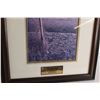 Image 3 : Framed Morning Glory Print by Glen Scrimshaw - 16 3/4" x 22 3/4"