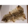 Image 1 : Coyote Tanned Pelt (Good Guard Hair)