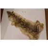 Image 1 : Tanned Coyote Pelt