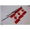 Image 3 : Pack of Vintage Burley Old Spice Bottles - Canada Flags - Curling Iron