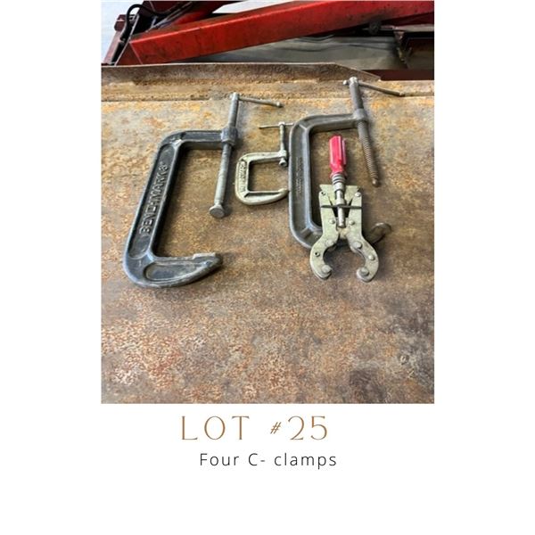 Lot 25