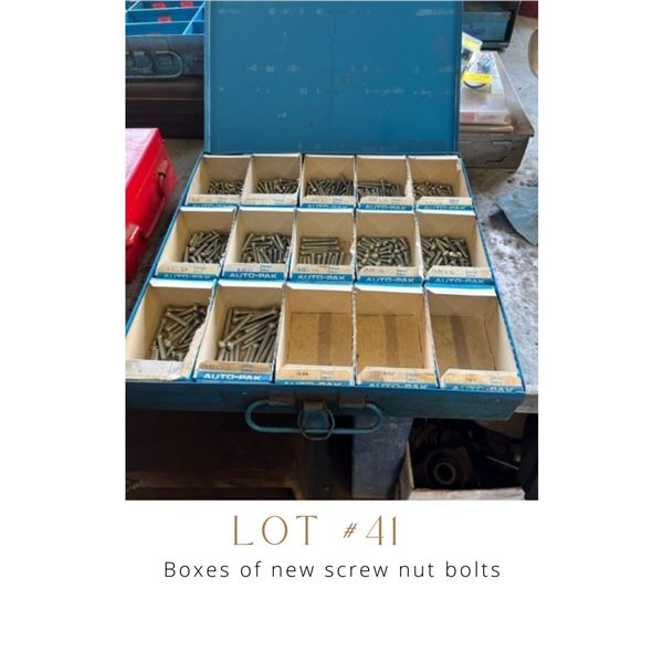 Lot 41