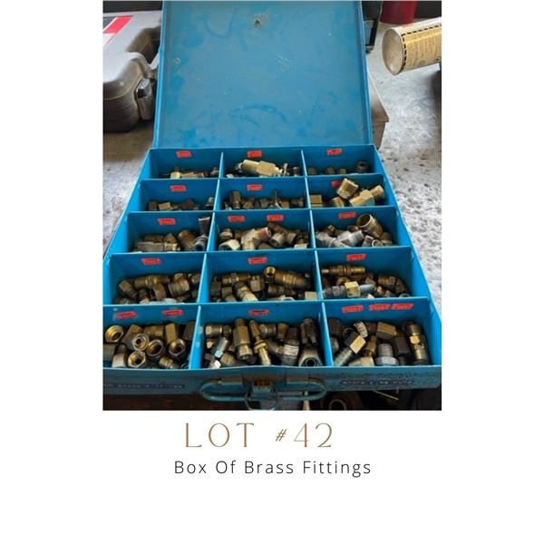 Lot 42