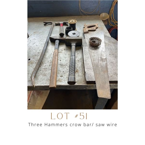 Lot 51