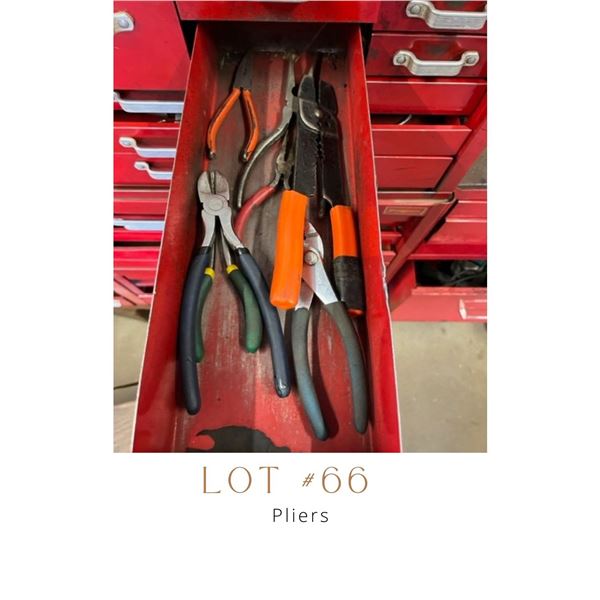 Lot 66