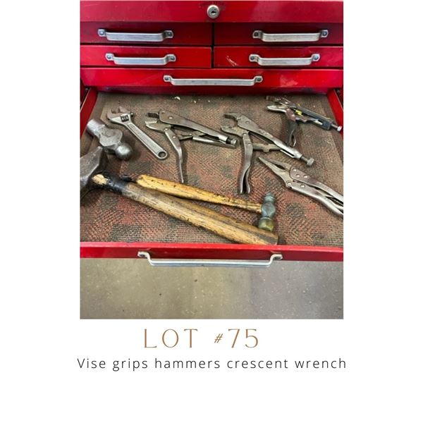 Lot 75