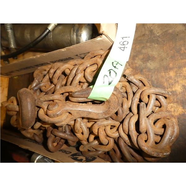 20' Chain with Hooks