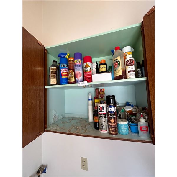 Entire Cabinet Of Cleaning Supplies