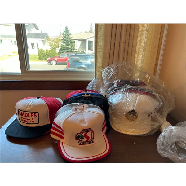 Assorted Hat Collection