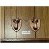 Image 2 : 2 Deer Heads Wall Mount