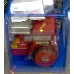 RIESAM PUMP  ( BRIGGS & STRATTON 5HP MOTOR)