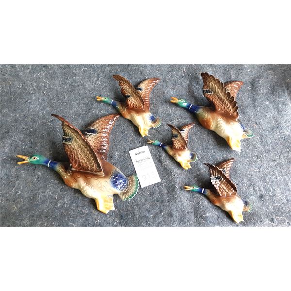 Ducks in Flight Cat A