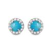 Image 1 : 0.87ct Turquoise 14 K White Gold Earrings
