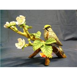 RSPB Chestnut-sided Warbler figure-1980