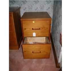 Oak 2 drawer file cabinet