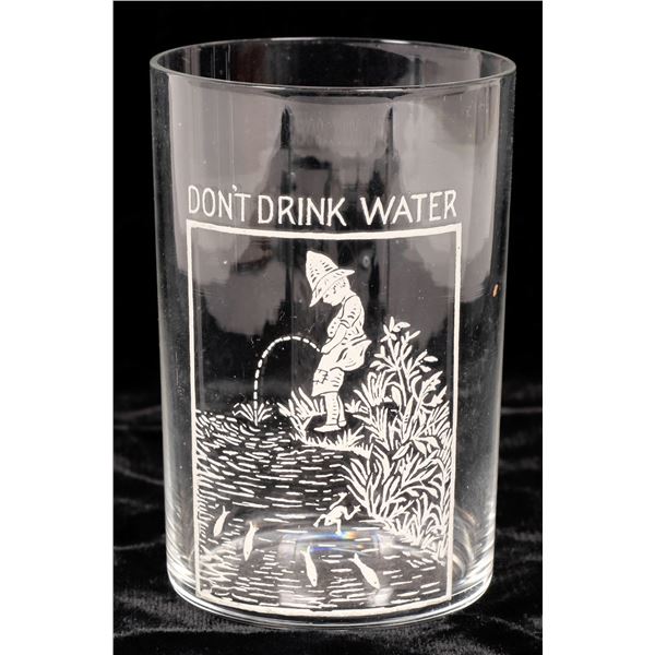 Don't Drink Water Humorous Beer Glass  [170833]