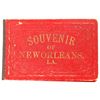 Image 3 : Souvenir of New Orleans Booklet, 1884  [171314]