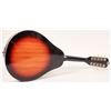 Image 2 : Crestline  Mandolin   [170712]