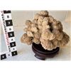 Image 1 : Desert Roses - Large Cluster of Selenite Balls  [171993]