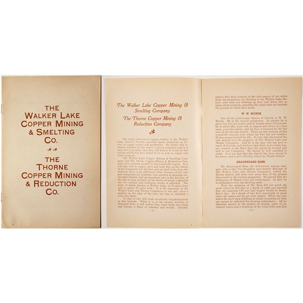 Walker Lake Copper Mining & Smelting Co. Prospectus  [77336]