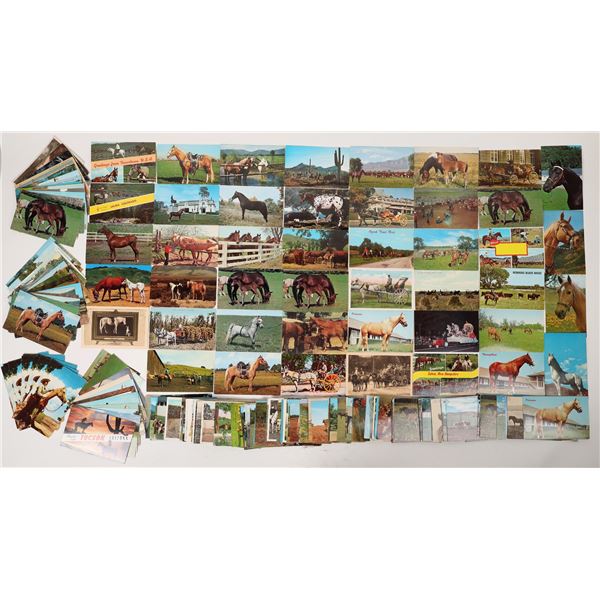 Post Card Collection Of Horses And The West (100+)  [170495]